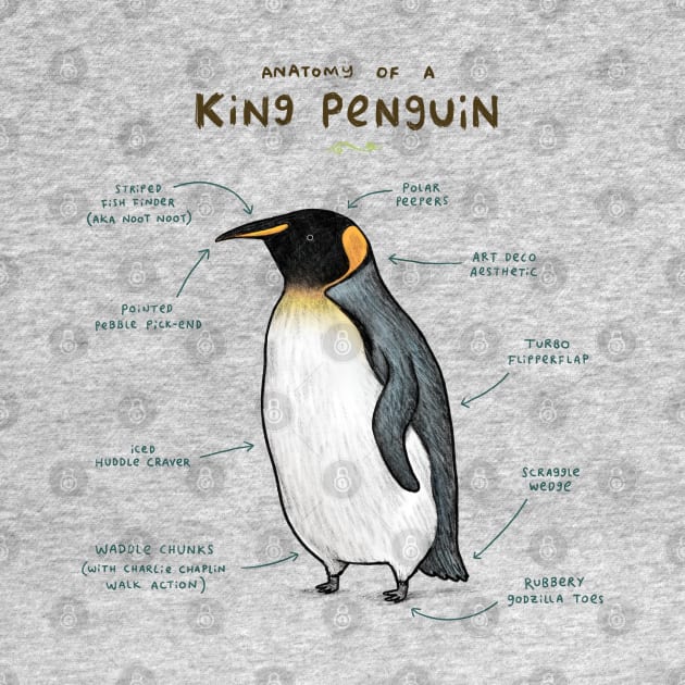 Anatomy of a King Penguin by Sophie Corrigan